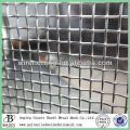 woven mesh 3x3 stainless steel crimped wire mesh (factory)